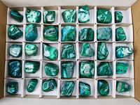 Polished Malacolla Free Forms x 35 From Kulukuluku, Congo