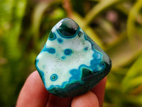 Polished Malacolla Free Forms x 35 From Kulukuluku, Congo