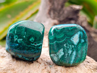 Polished Malacolla Free Forms x 35 From Kulukuluku, Congo