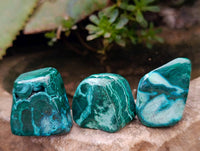 Polished Malacolla Free Forms x 35 From Kulukuluku, Congo