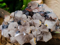 Natural Blacknite and Smokey Quartz Specimen x 1 From Ambositra, Madagascar