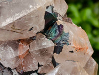 Natural Blacknite and Smokey Quartz Specimen x 1 From Ambositra, Madagascar