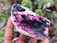 Natural Salrose Cobaltion Dolomite with Heterogenite Specimens x 6 From Kakanda, Congo
