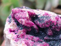 Natural Salrose Cobaltion Dolomite with Heterogenite Specimens x 6 From Kakanda, Congo