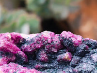 Natural Salrose Cobaltion Dolomite with Heterogenite Specimens x 6 From Kakanda, Congo