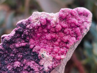Natural Salrose Cobaltion Dolomite with Heterogenite Specimens x 6 From Kakanda, Congo