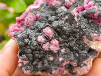 Natural Salrose Cobaltion Dolomite with Heterogenite Specimens x 6 From Kakanda, Congo