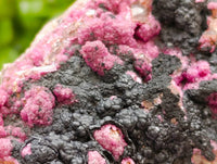 Natural Salrose Cobaltion Dolomite with Heterogenite Specimens x 6 From Kakanda, Congo