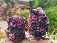 Natural Salrose Cobaltion Dolomite with Heterogenite Specimens x 6 From Kakanda, Congo