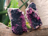 Natural Salrose Cobaltion Dolomite with Heterogenite Specimens x 6 From Kakanda, Congo