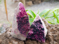 Natural Salrose Cobaltion Dolomite with Heterogenite Specimens x 6 From Kakanda, Congo