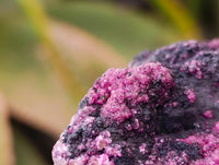 Natural Salrose Cobaltion Dolomite with Heterogenite Specimens x 6 From Kakanda, Congo