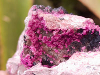 Natural Salrose Cobaltion Dolomite with Heterogenite Specimens x 6 From Kakanda, Congo