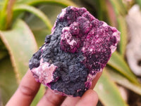Natural Salrose Cobaltion Dolomite with Heterogenite Specimens x 6 From Kakanda, Congo