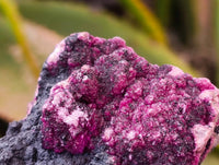Natural Salrose Cobaltion Dolomite with Heterogenite Specimens x 6 From Kakanda, Congo