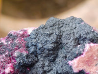 Natural Salrose Cobaltion Dolomite with Heterogenite Specimens x 6 From Kakanda, Congo