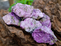 Natural Stichtite Cobbed Specimens x 70 From Barberton, South Africa