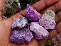 Natural Stichtite Cobbed Specimens x 70 From Barberton, South Africa