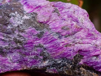Natural Stichtite Cobbed Specimens x 70 From Barberton, South Africa