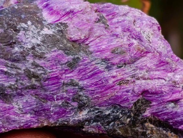 Natural Stichtite Cobbed Specimens x 70 From Barberton, South Africa