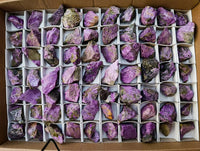 Natural Stichtite Cobbed Specimens x 70 From Barberton, South Africa
