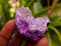 Natural Stichtite Cobbed Specimens x 70 From Barberton, South Africa