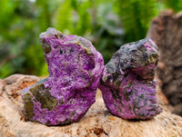 Natural Stichtite Cobbed Specimens x 70 From Barberton, South Africa