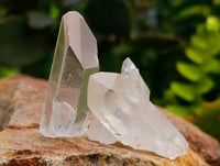 Natural Mine Run Quartz Crystals x 1.6 Kg Lot From Madagascar