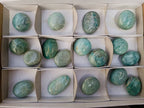 Polished Amazonite Palm Stones x 17 From Madagascar - Toprock Gemstones and Minerals 