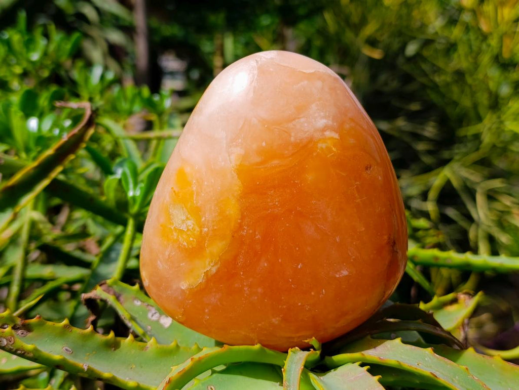 Polished Orange Twist Calcite Standing Free Forms x 2 From Maevantanana, Madagascar - Toprock Gemstones and Minerals 