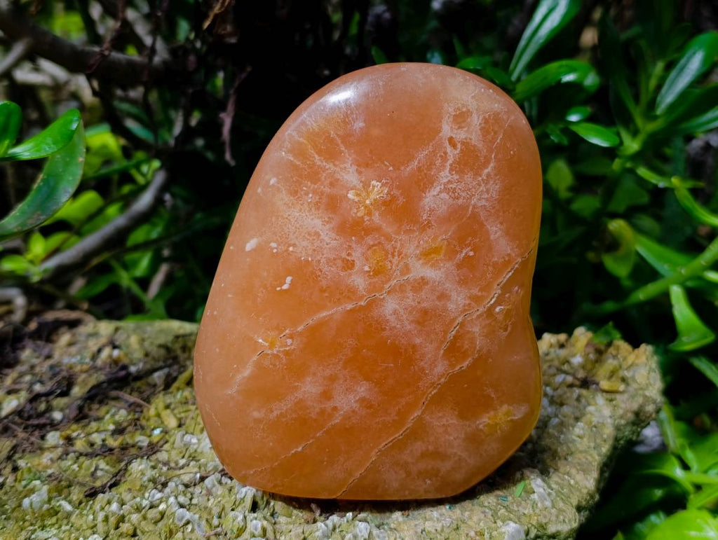 Polished Orange Twist Calcite Standing Free Forms x 2 From Maevantanana, Madagascar - Toprock Gemstones and Minerals 