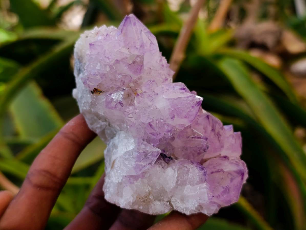 Natural Sunburst Amethyst Spirit Quartz Clusters x 6 From Boekenhouthoek, South Africa - Toprock Gemstones and Minerals 