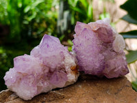 Natural Sunburst Amethyst Spirit Quartz Clusters x 6 From Boekenhouthoek, South Africa