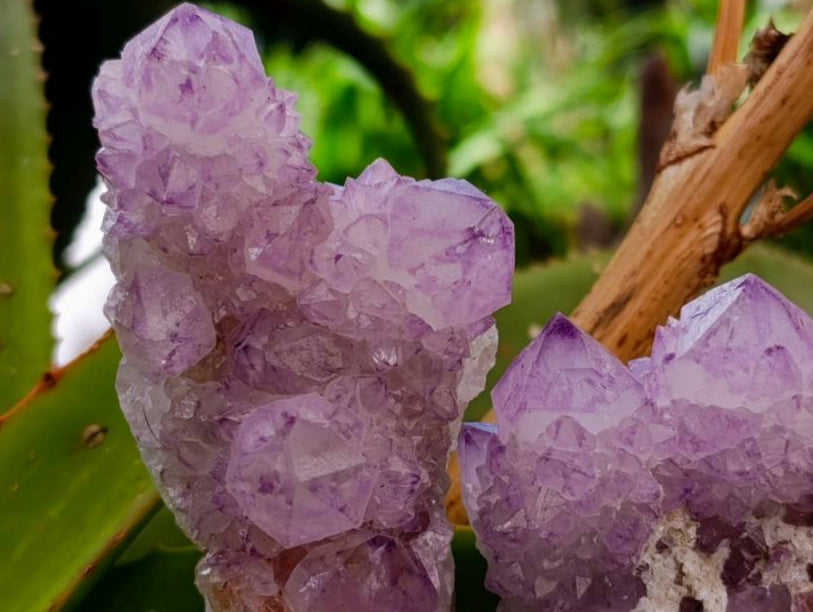 Natural Sunburst Amethyst Spirit Quartz Clusters x 6 From Boekenhouthoek, South Africa - Toprock Gemstones and Minerals 