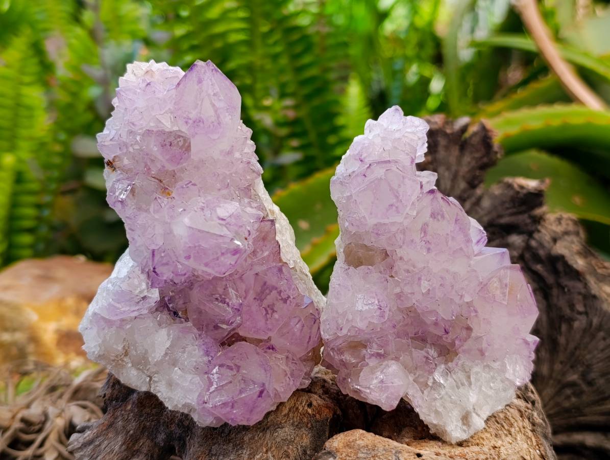 Natural Sunburst Amethyst Spirit Quartz Clusters x 6 From Boekenhouthoek, South Africa - Toprock Gemstones and Minerals 