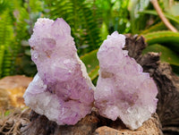 Natural Sunburst Amethyst Spirit Quartz Clusters x 6 From Boekenhouthoek, South Africa