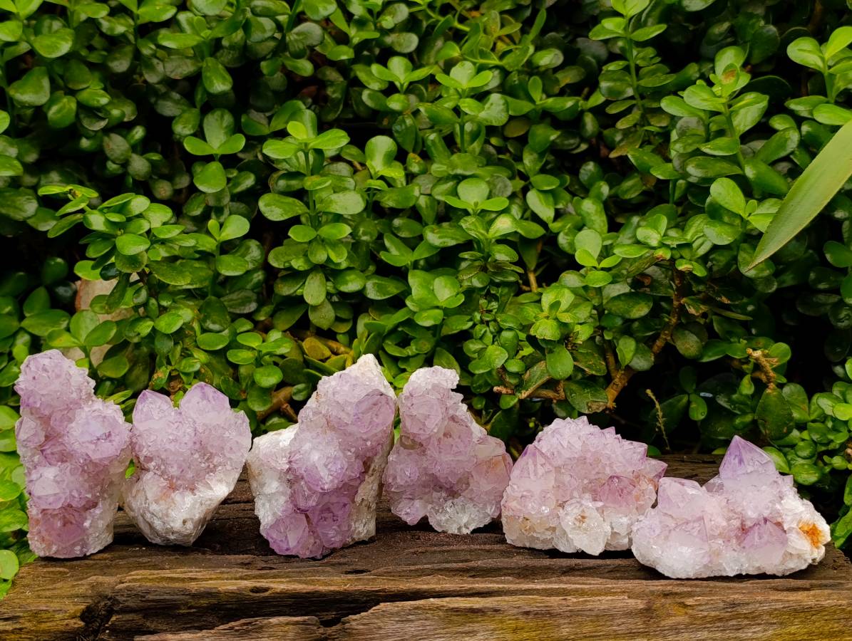 Natural Sunburst Amethyst Spirit Quartz Clusters x 6 From Boekenhouthoek, South Africa - Toprock Gemstones and Minerals 