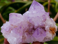 Natural Sunburst Amethyst Spirit Quartz Clusters x 6 From Boekenhouthoek, South Africa