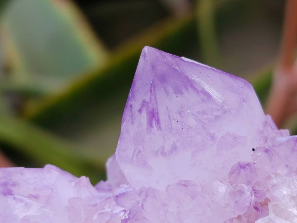 Natural Sunburst Amethyst Spirit Quartz Clusters x 6 From Boekenhouthoek, South Africa - Toprock Gemstones and Minerals 