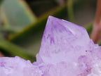 Natural Sunburst Amethyst Spirit Quartz Clusters x 6 From Boekenhouthoek, South Africa - Toprock Gemstones and Minerals 