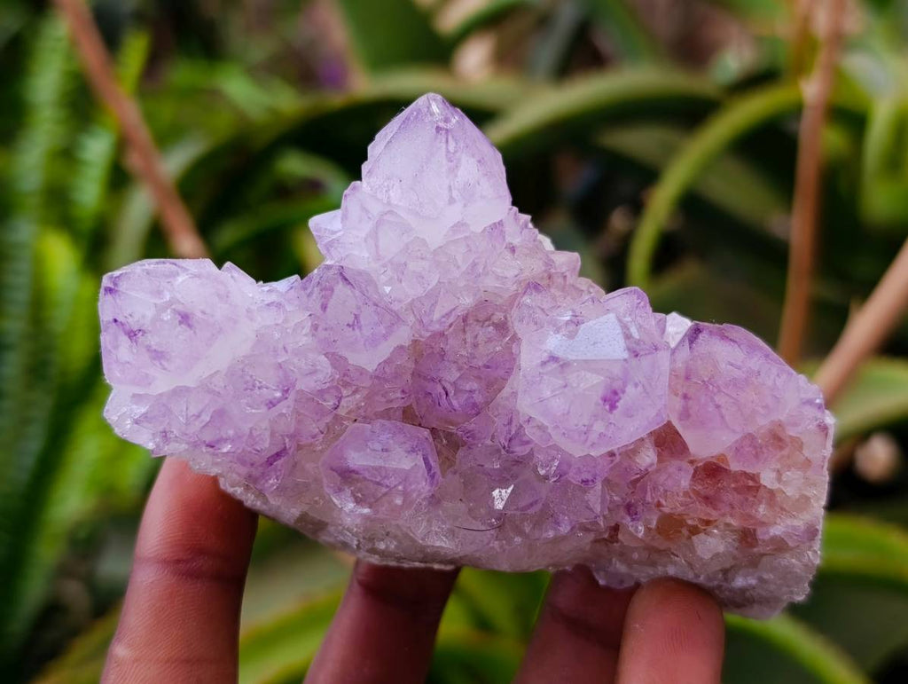 Natural Sunburst Amethyst Spirit Quartz Clusters x 6 From Boekenhouthoek, South Africa - Toprock Gemstones and Minerals 
