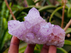 Natural Sunburst Amethyst Spirit Quartz Clusters x 6 From Boekenhouthoek, South Africa - Toprock Gemstones and Minerals 