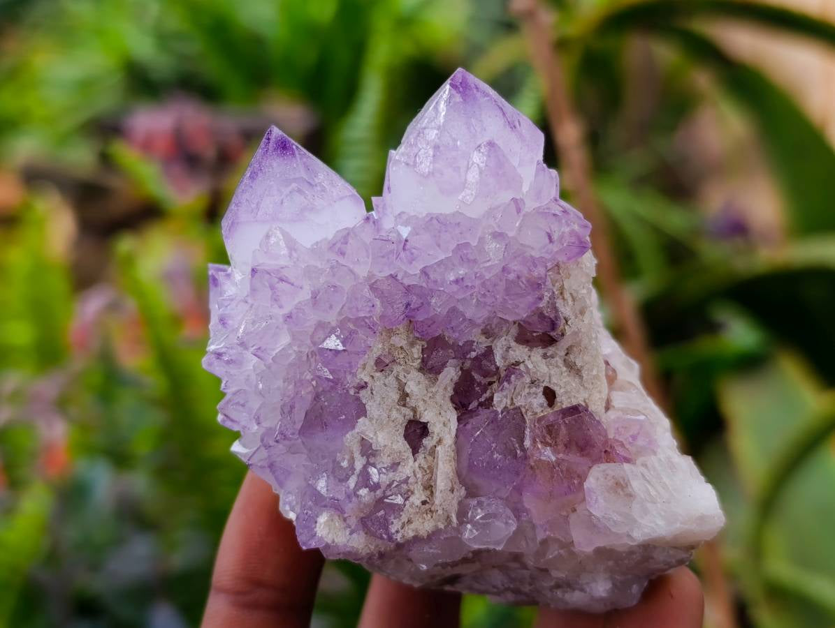 Natural Sunburst Amethyst Spirit Quartz Clusters x 6 From Boekenhouthoek, South Africa - Toprock Gemstones and Minerals 