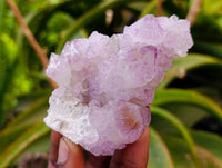 Natural Sunburst Amethyst Spirit Quartz Clusters x 6 From Boekenhouthoek, South Africa
