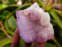 Natural Sunburst Amethyst Spirit Quartz Clusters x 6 From Boekenhouthoek, South Africa
