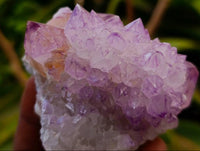 Natural Sunburst Amethyst Spirit Quartz Clusters x 6 From Boekenhouthoek, South Africa