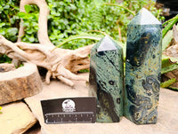 Polished Stromatolite Points x 2 From Katsepy, Madagascar