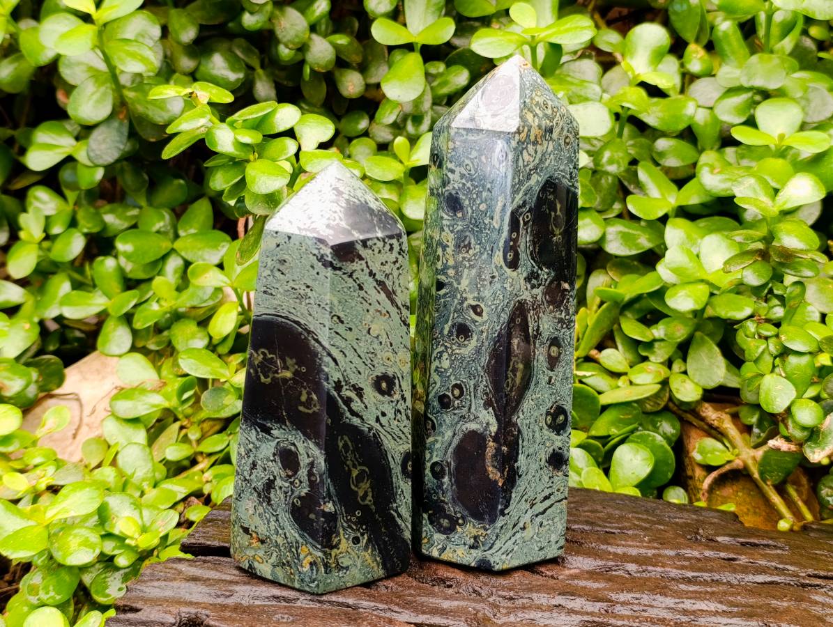 Polished Stromatolite Points x 2 From Katsepy, Madagascar - Toprock Gemstones and Minerals 