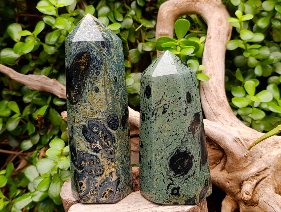 Polished Stromatolite Points x 2 From Katsepy, Madagascar - Toprock Gemstones and Minerals 