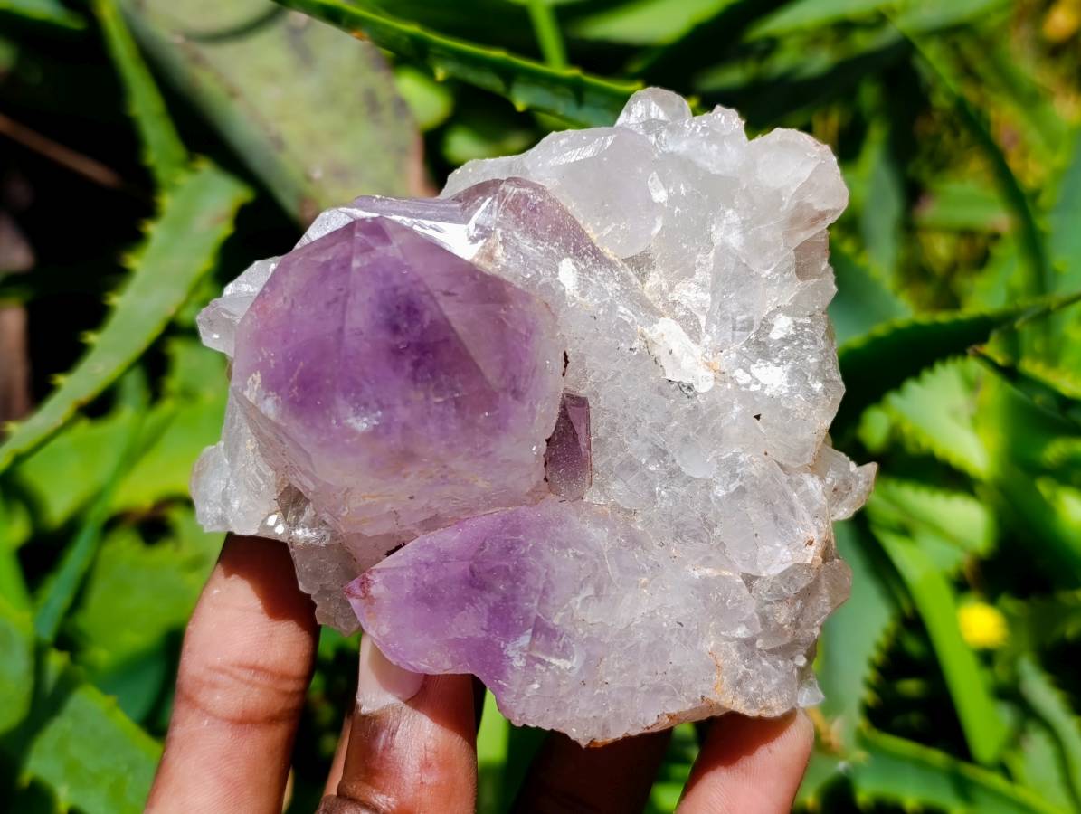 Natural Jacaranda Amethyst Crystal Clusters x 6 From Mumbwa, Zambia - Toprock Gemstones and Minerals 